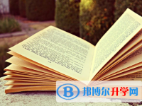 成都2021年中考学校排名