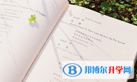 成都2021年中考招生计划查询