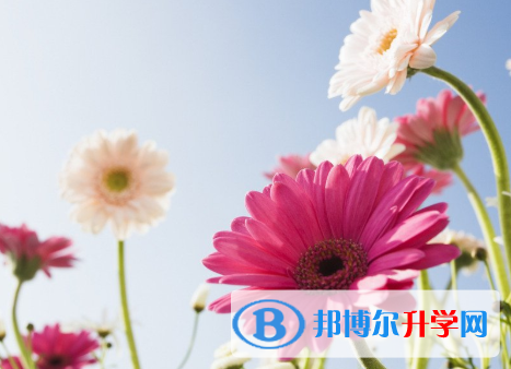 成都2021年中考自主招生考试学校
