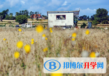 成都2021年中考报考学校名单