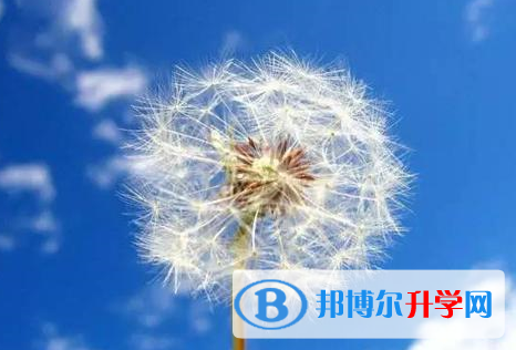 成都2021年中考各科高频考点