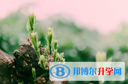 成都2021年中考后计划