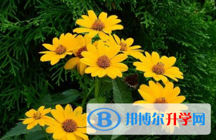 成都2021年中考技巧和注意事项
