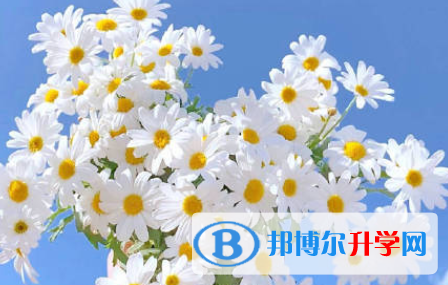 成都2021年中考紧张