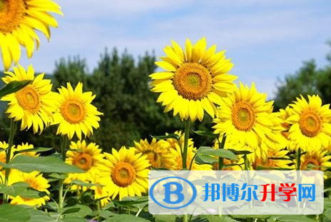 成都2021年中考录取通知书