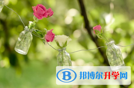 成都2021年中考升学率