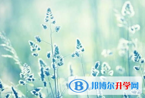 成都2021年中考时间