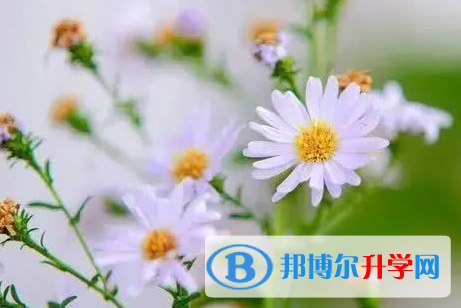 成都2021年中考时间安排