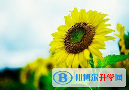 成都2021年中考具体时间
