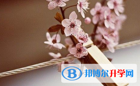 成都2021年中考顺序