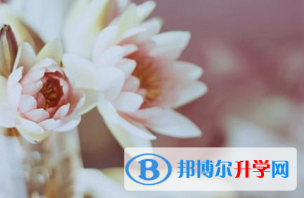 成都2021年中考体考标准