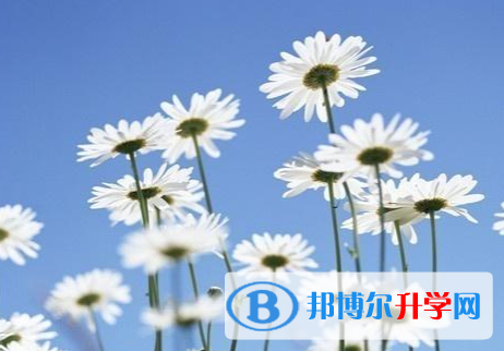 成都2021年中考推荐生自荐信