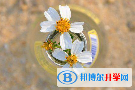 成都2021年中考应对策略