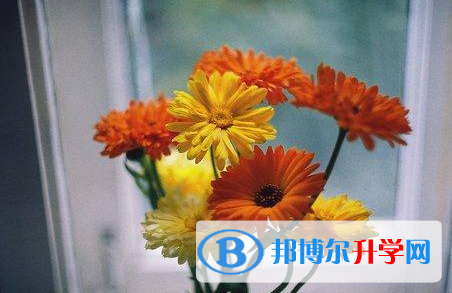 成都2021年中考重点复习