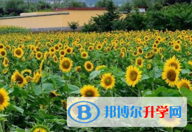成都2021年中考状元