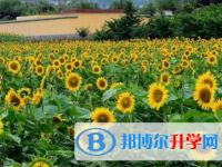 成都2021年中考状元