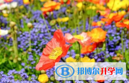 成都2021年中考准考证