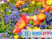 成都2021年中考准考证