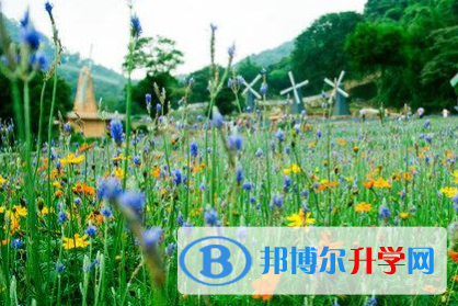 成都2021年中考自主招生情况