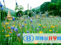 成都2021年中考自主招生情况