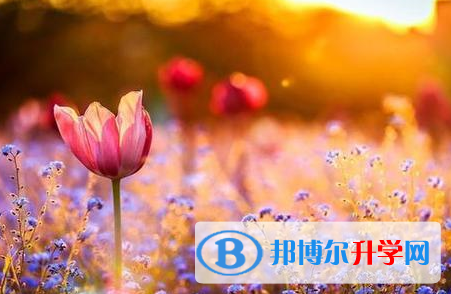 成都2021年中考怎么办