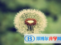 成都2021年中考怎么饮食
