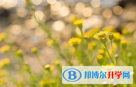 成都2021年中考需要准备什么