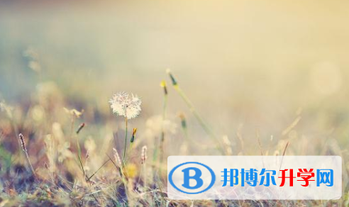 成都2021年中考是否有高价生