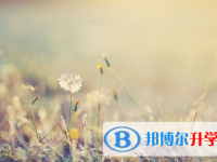 成都2021年中考是否有高价生
