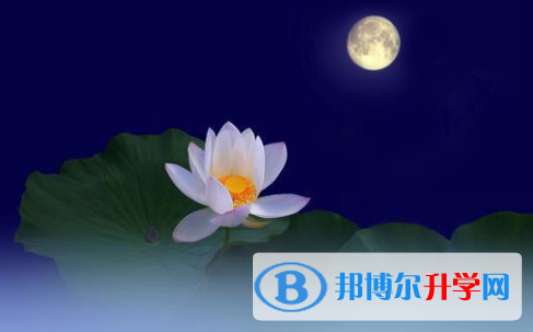 成都2021年中考是什么时候