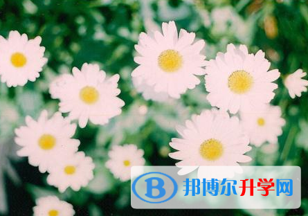 成都2021年中考失利怎么办