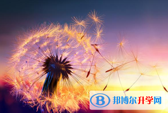 成都2021年中考如果未被录取怎么办