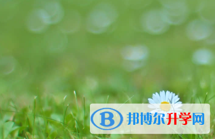 成都2021年中考没考好