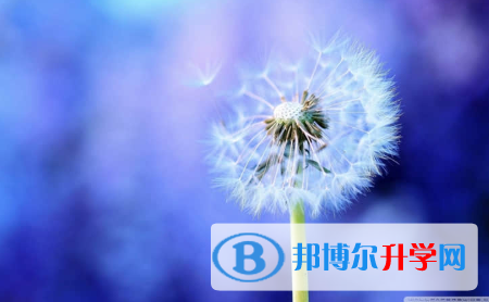 成都2021年中考没考好可以复读吗