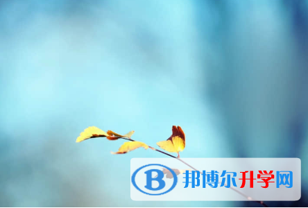 成都2021年中考没有考上怎么办