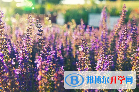 成都2021年中考落榜了怎么办