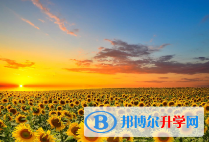 成都2021年中考焦虑怎么办