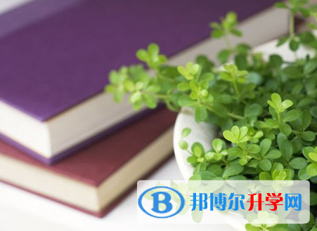成都2021年怎么写中考自荐书