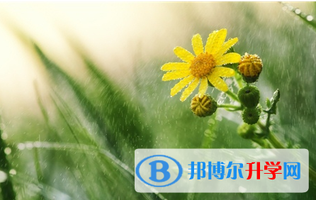 成都2021年这次中考多久结束