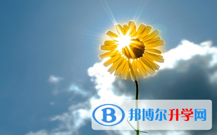 成都2021年今年中考时间是几号