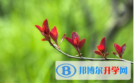  成都2021年没有学籍可以参加中考吗