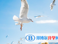 成都2021年孩子中考家长怎么做