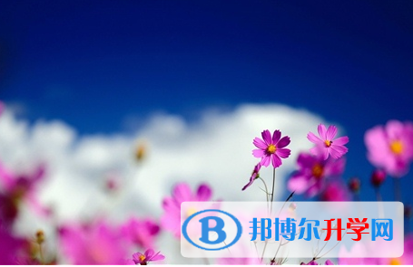 成都2021年孩子中考没考好如何安慰