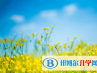 成都2021年中考网络应用服务平台登录