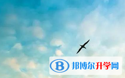 成都2021年中考调剂志愿是什么意思