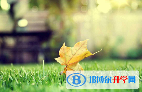 四川2021年查询中考成绩