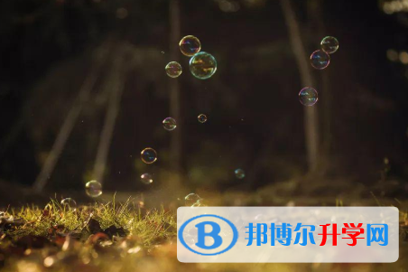 四川2021年如何查询中考录取名单