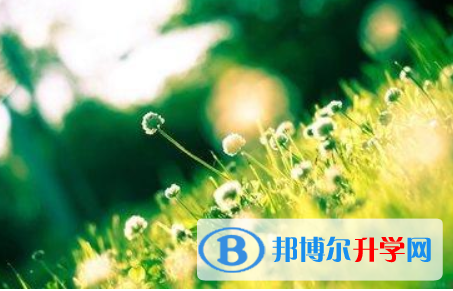 四川2021年今年的中考成绩