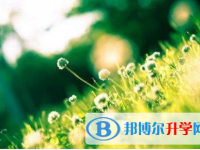 四川2021年今年的中考成绩