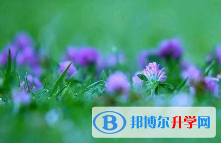 四川2021年如何查询中考成绩